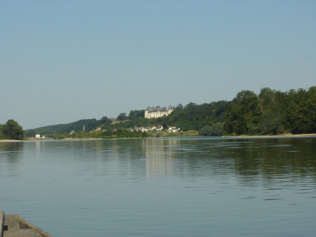 Апартаменты Les Bords De Loire Veuves Номер фото