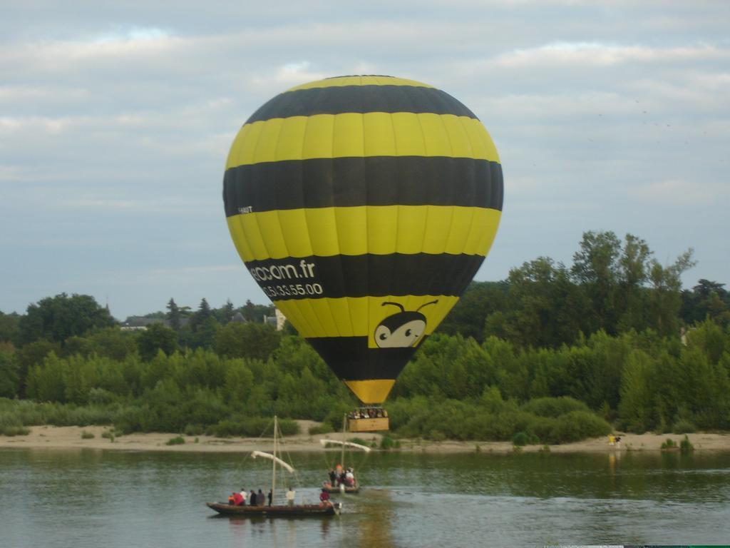 Апартаменты Les Bords De Loire Veuves Номер фото